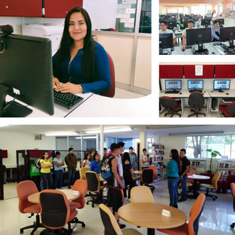 servicios especializados